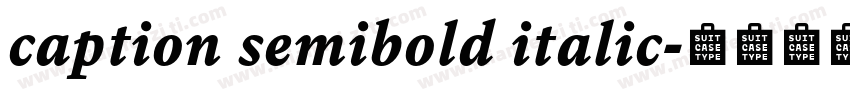 caption semibold italic字体转换